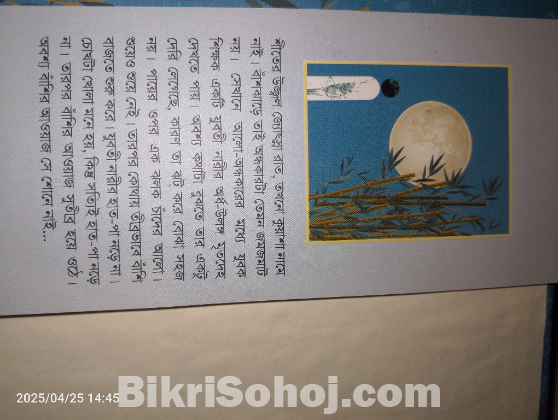 উপন্যাস